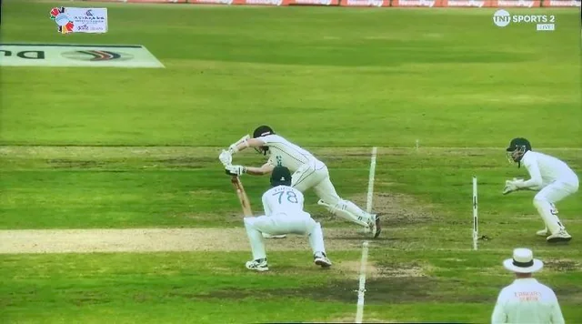 how many creases are there in cricket?