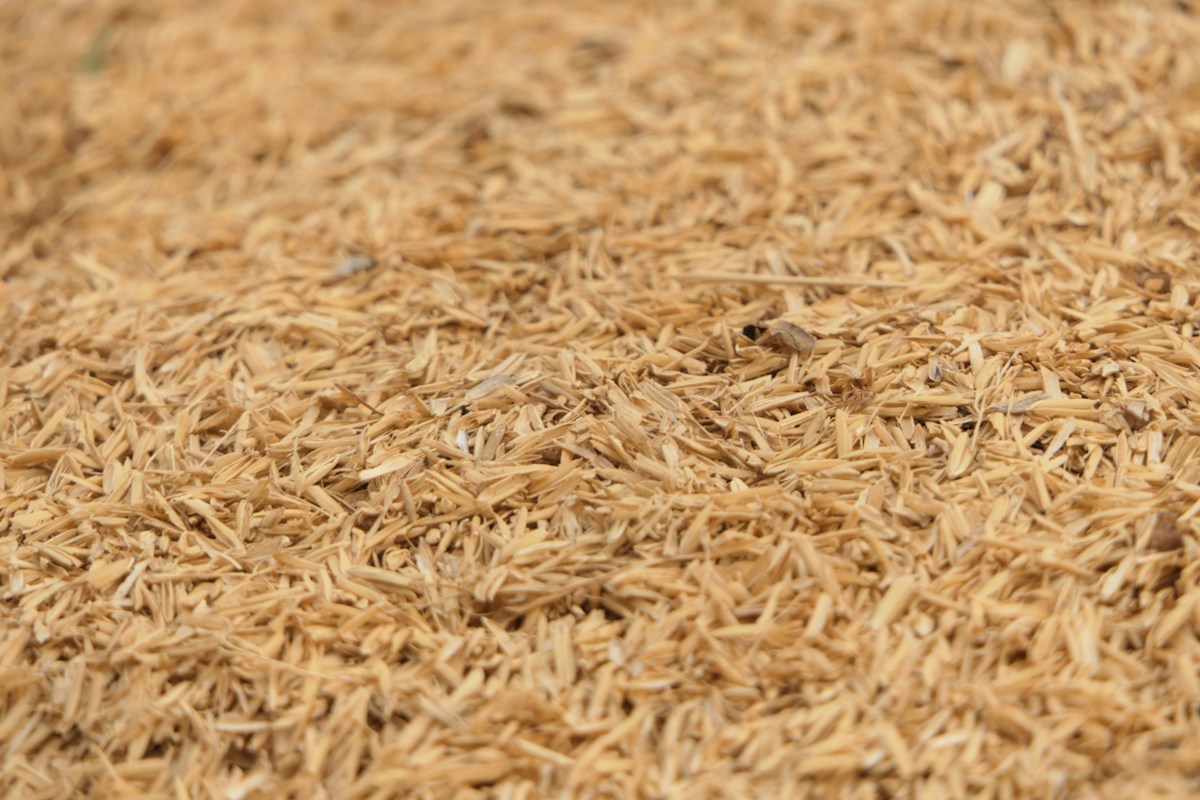 A bowl of nutty, tender whole-grain brown rice cooked to perfection
